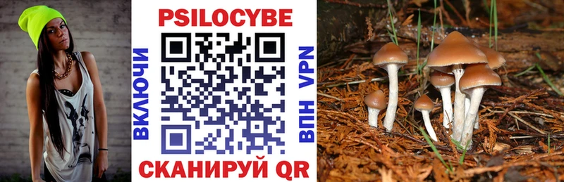 Галлюциногенные грибы GOLDEN TEACHER  darknet как зайти  Уяр  даркнет сайт 